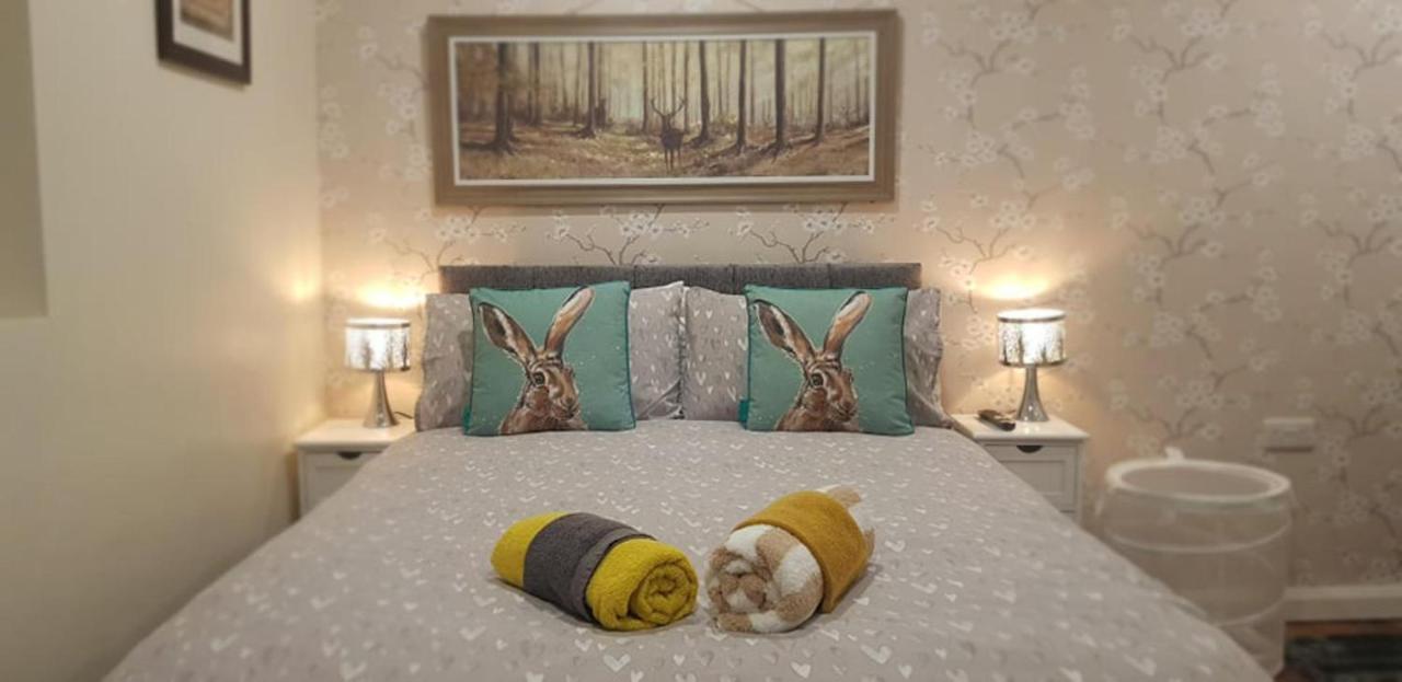 The Musical Ceol Cottage 1-Bedroom - Sleeps Four Ballynahinch Extérieur photo